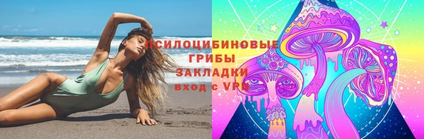 mdpv Богородск