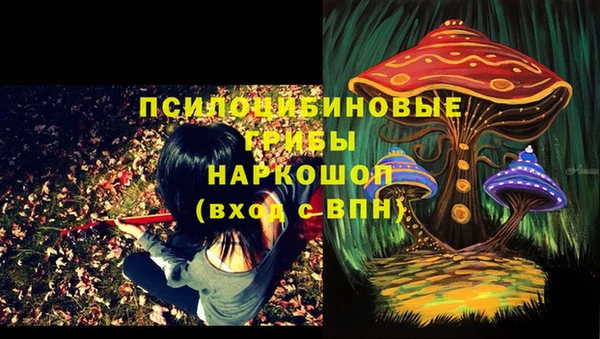 марки nbome Богданович