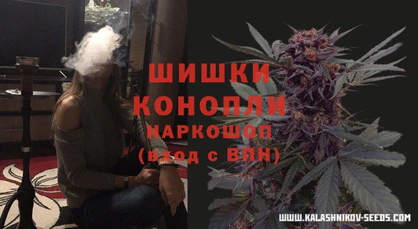 спайс Богородицк